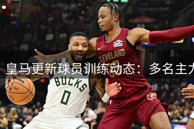 皇马更新球员训练动态：多名主力参与合练 5将仍在康复